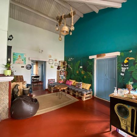 The Birdhouse Backpackers Hostel كونور المظهر الخارجي الصورة
